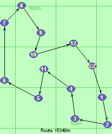 S-1-2-3-4-11-5-6-7-8-9-10-12-Z